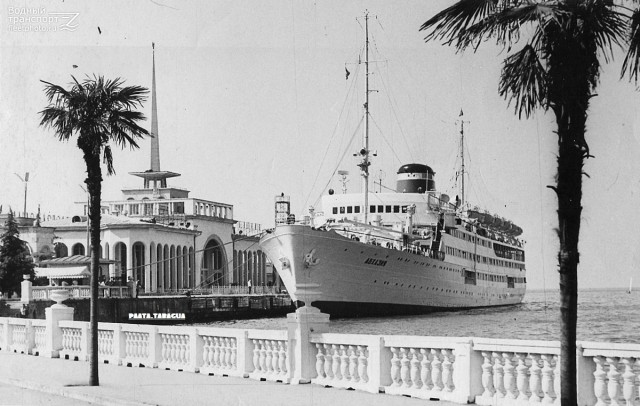 картинка Arlett