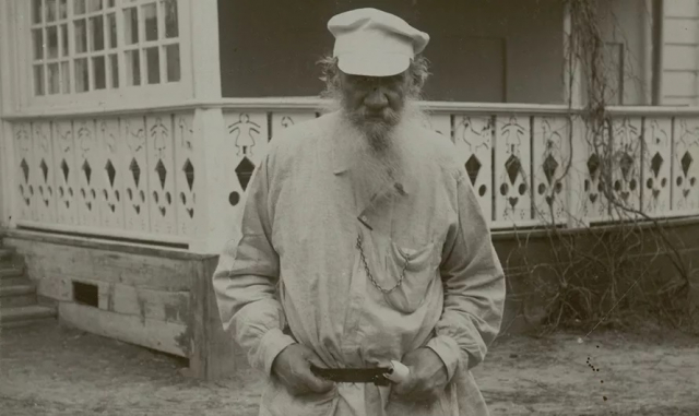 картинка Arlett
