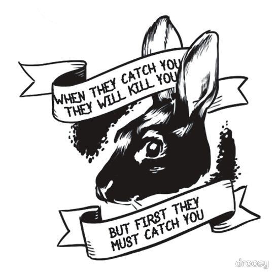 Rabbit-r.jpg