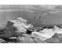 картинка Astilla