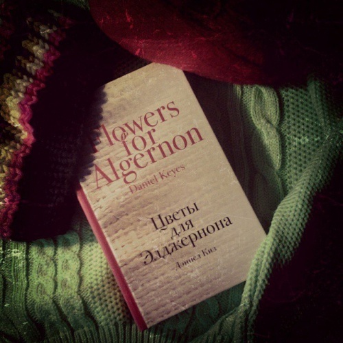 картинка Avid_reader_of_books