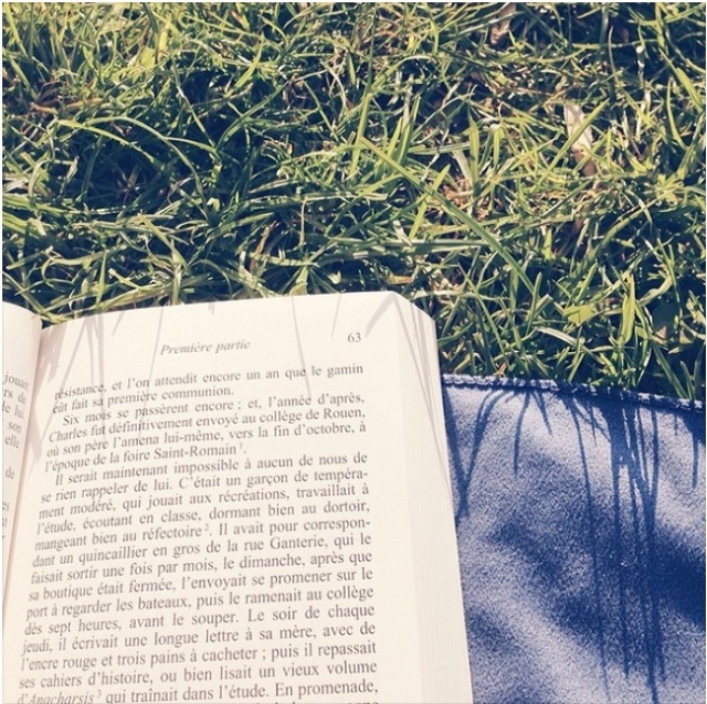 картинка Azada