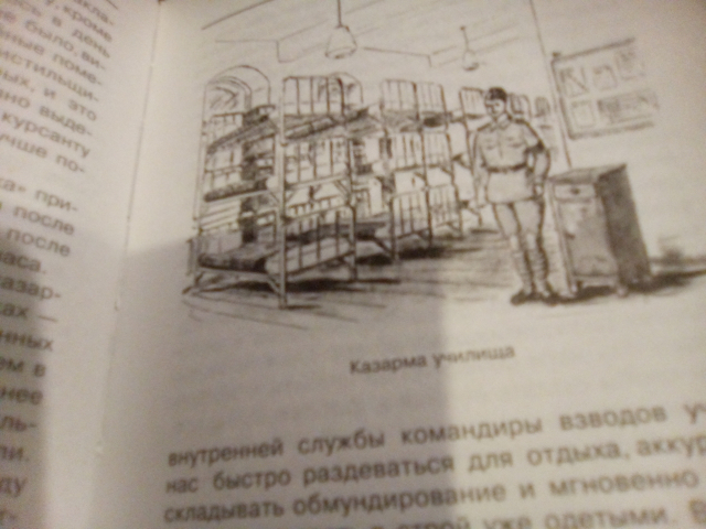 картинка BakowskiBabbitts