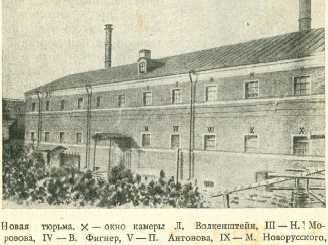 картинка BakowskiBabbitts