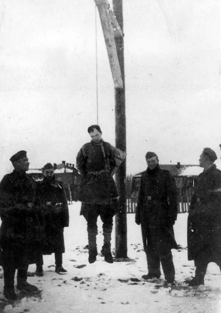 картинка BakowskiBabbitts