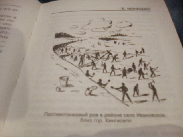 картинка BakowskiBabbitts