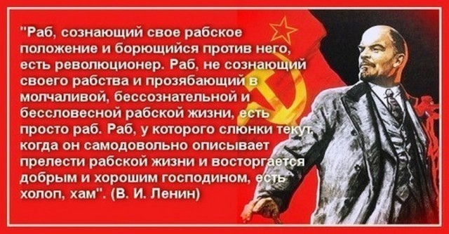 картинка BakowskiBabbitts