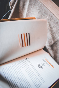 картинка Baltic-Bookworms