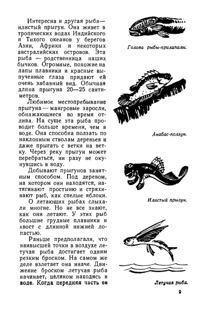 картинка BeeBumble