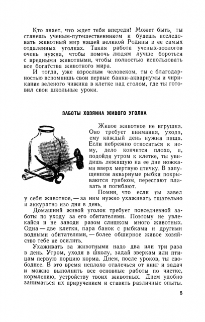картинка BeeBumble
