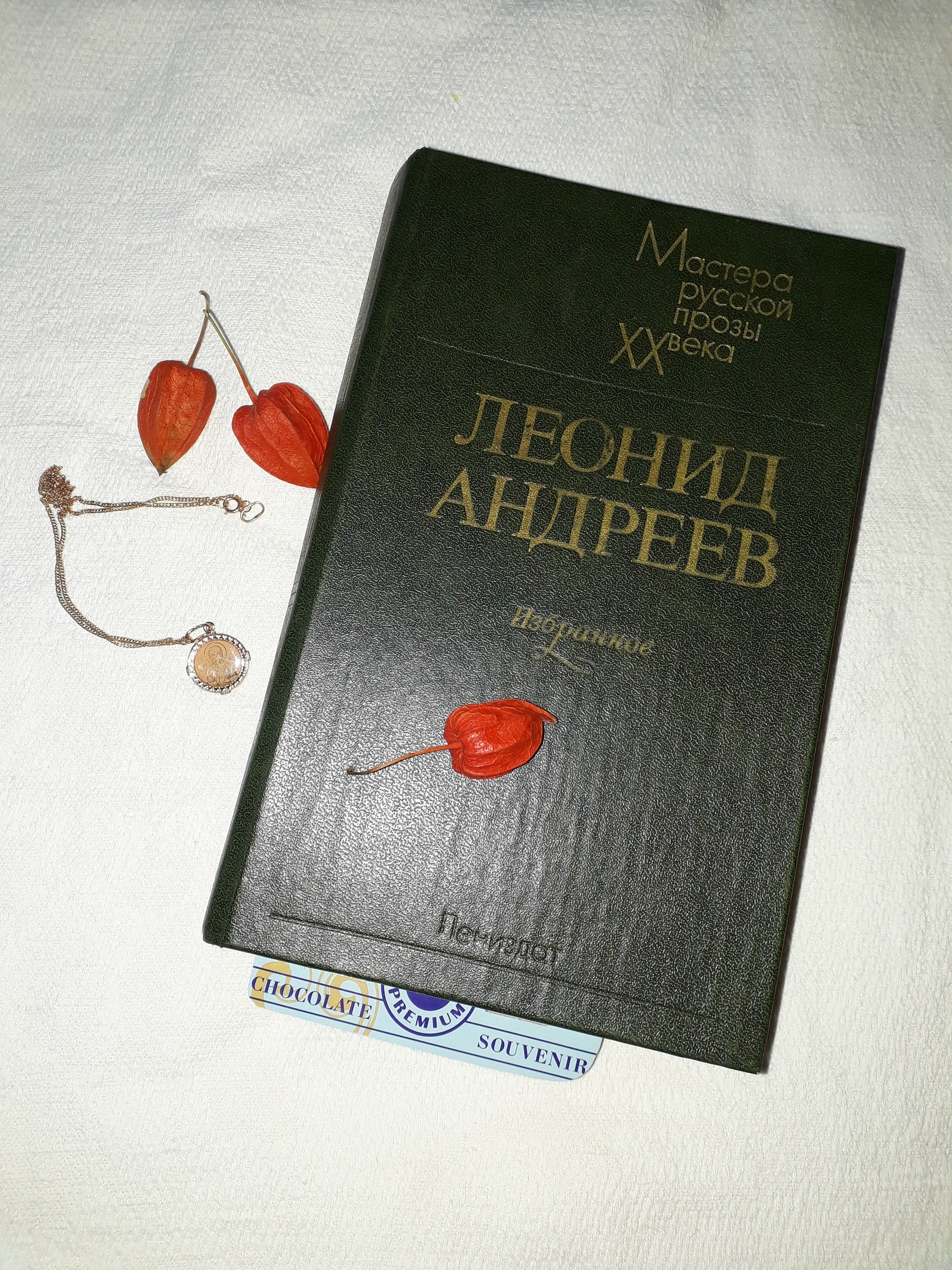 Избранные отзывы. Анфиса Леонид Андреев книга.