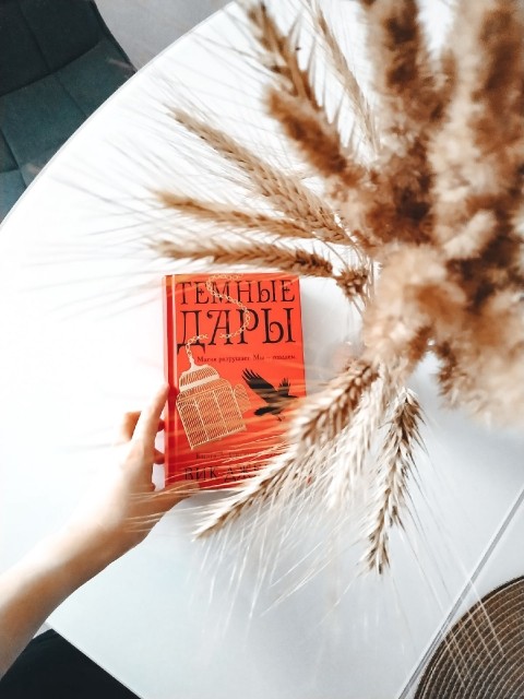 картинка Book___lover
