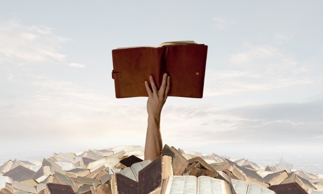 картинка BooksWormLa