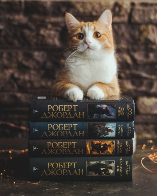 картинка Books_for_tea