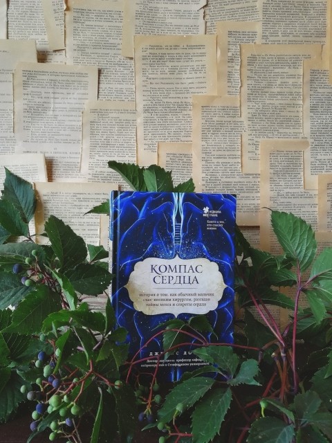 картинка Books_for_tea