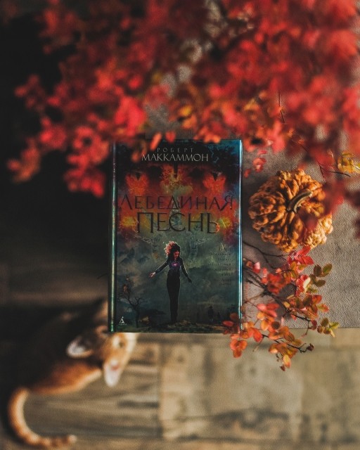 картинка Books_for_tea