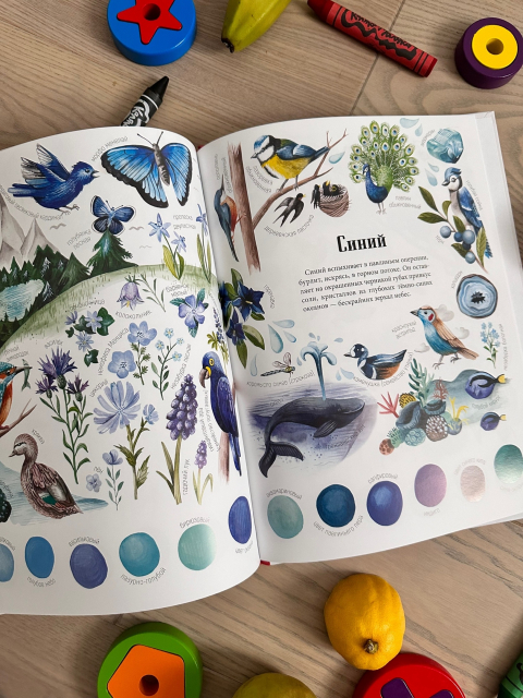 картинка Booksandfoto