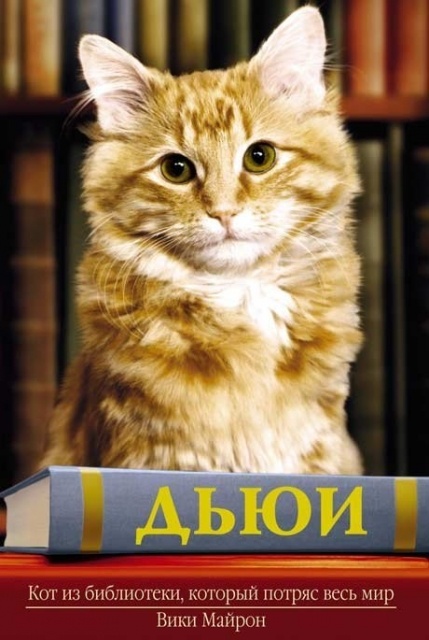 картинка BraveThomas