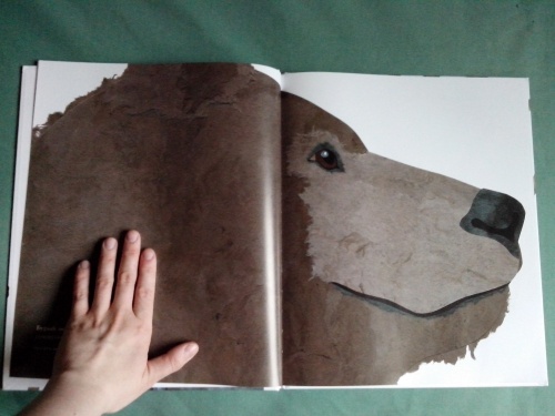картинка Buffalo_Bill