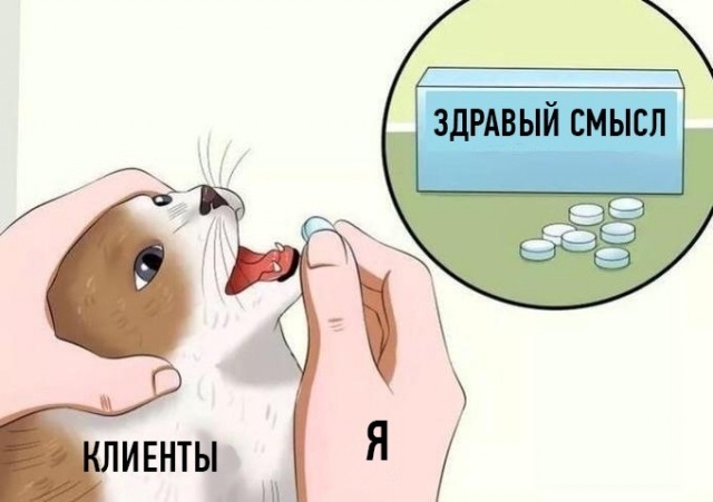 картинка CatMouse
