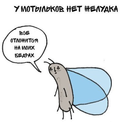 Грустные факты о животных — Брук Баркер