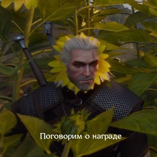 картинка Catrese