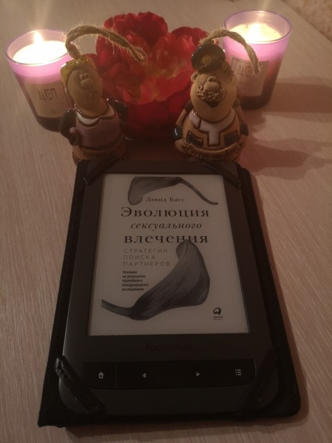 картинка Cracknight
