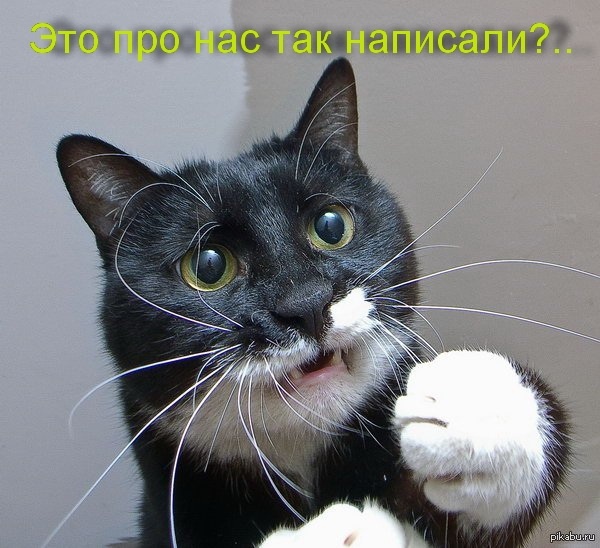 картинка Cranby1