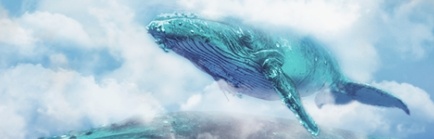 картинка Crawfield