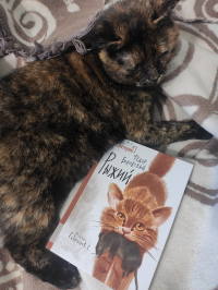 картинка CulinaryCat