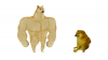 o-s.png