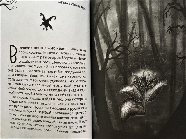 картинка DelanocheConcurring