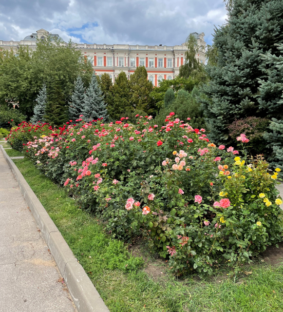 картинка DmitriyVerkhov