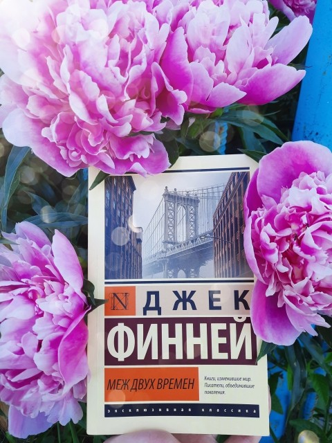 картинка Dolores_C