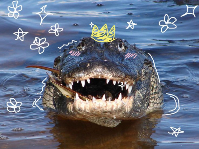 картинка ElenSolarWind