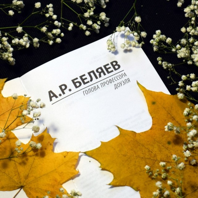 картинка Elen_Read