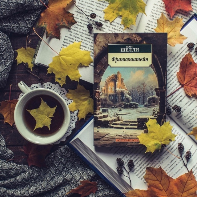 картинка Elen_Read
