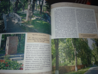 картинка Elena878