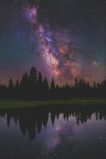 картинка EleonoraLight