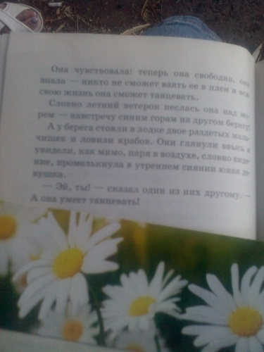 картинка Elfinariya