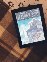 картинка Encinesnowy