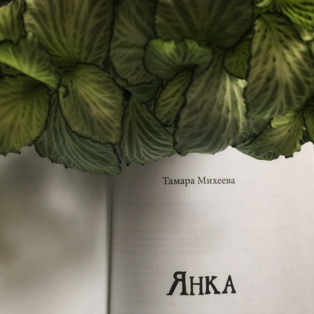 картинка Esenka