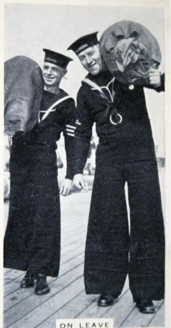картинка EvgenijNesmeyanov