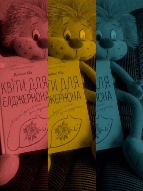картинка EwgeniyaKabluchka