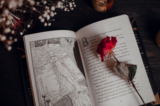 картинка Fireplace_book
