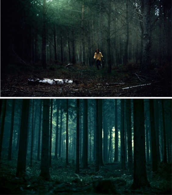 картинка Follow_the_white_rabbit