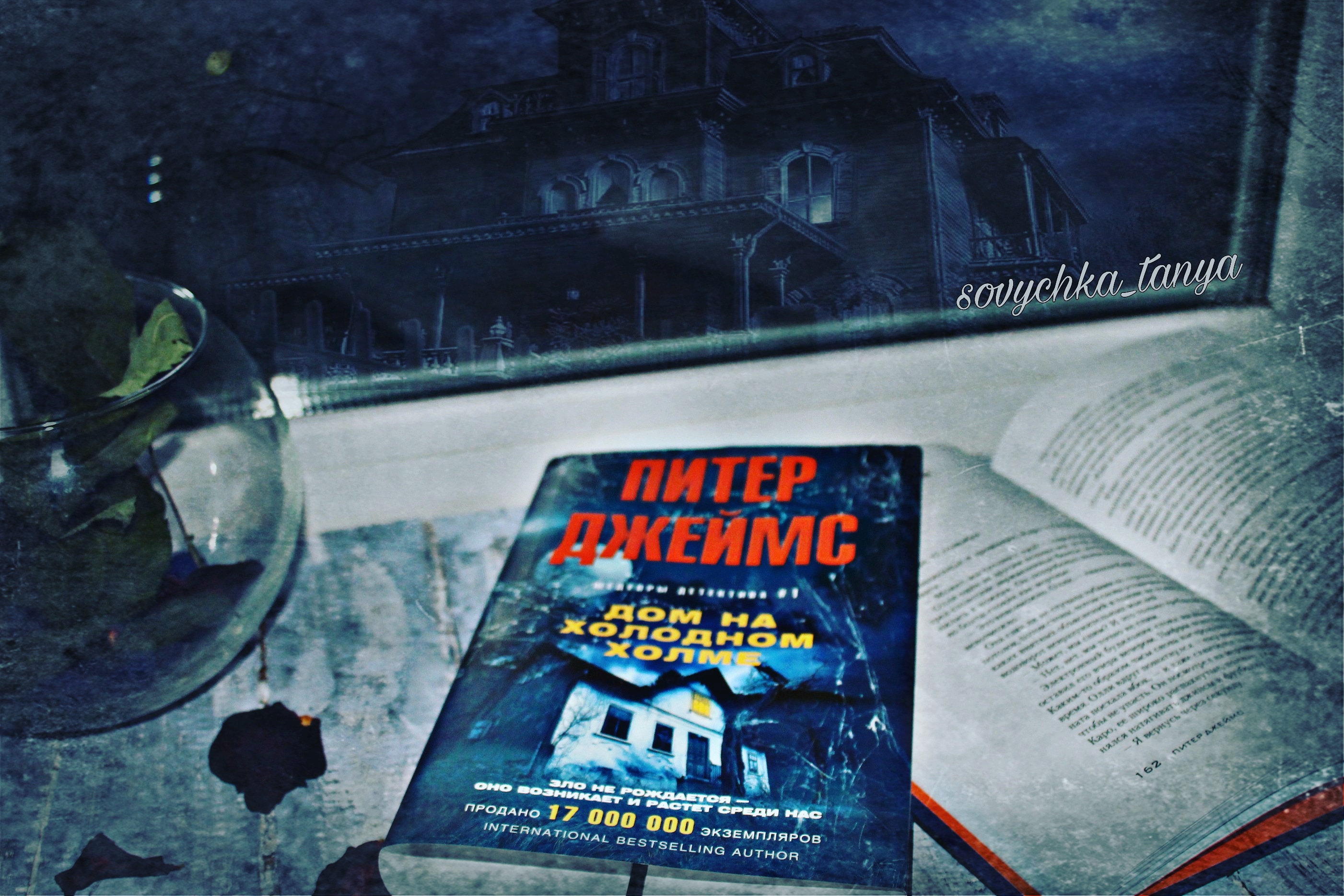 Отзывы о книге «Дом на Холодном холме», рецензии на книгу Питера Джеймса,  рейтинг в библиотеке ЛитРес, страница 6