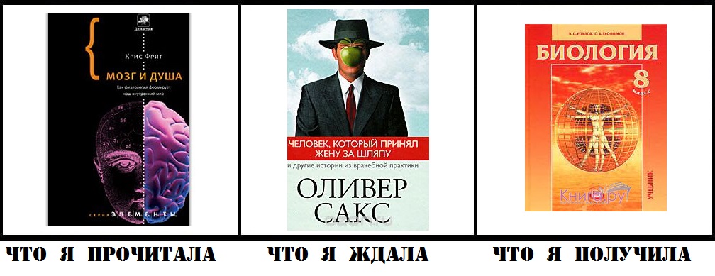 Мозг и душа рецензия 7638