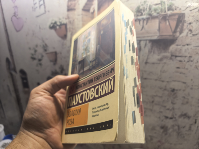 картинка GarrikBook