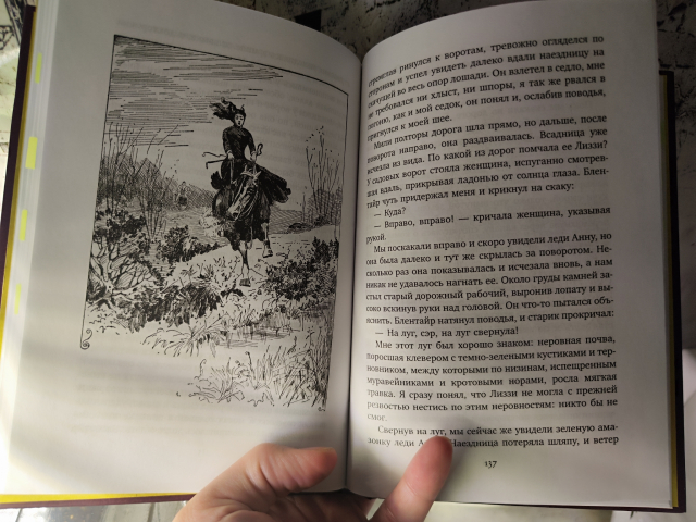 картинка GarrikBook